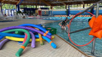 Ab 2026 Schwimmkurse in Kuppenheim/Rastatt
